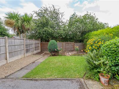 Picture 20